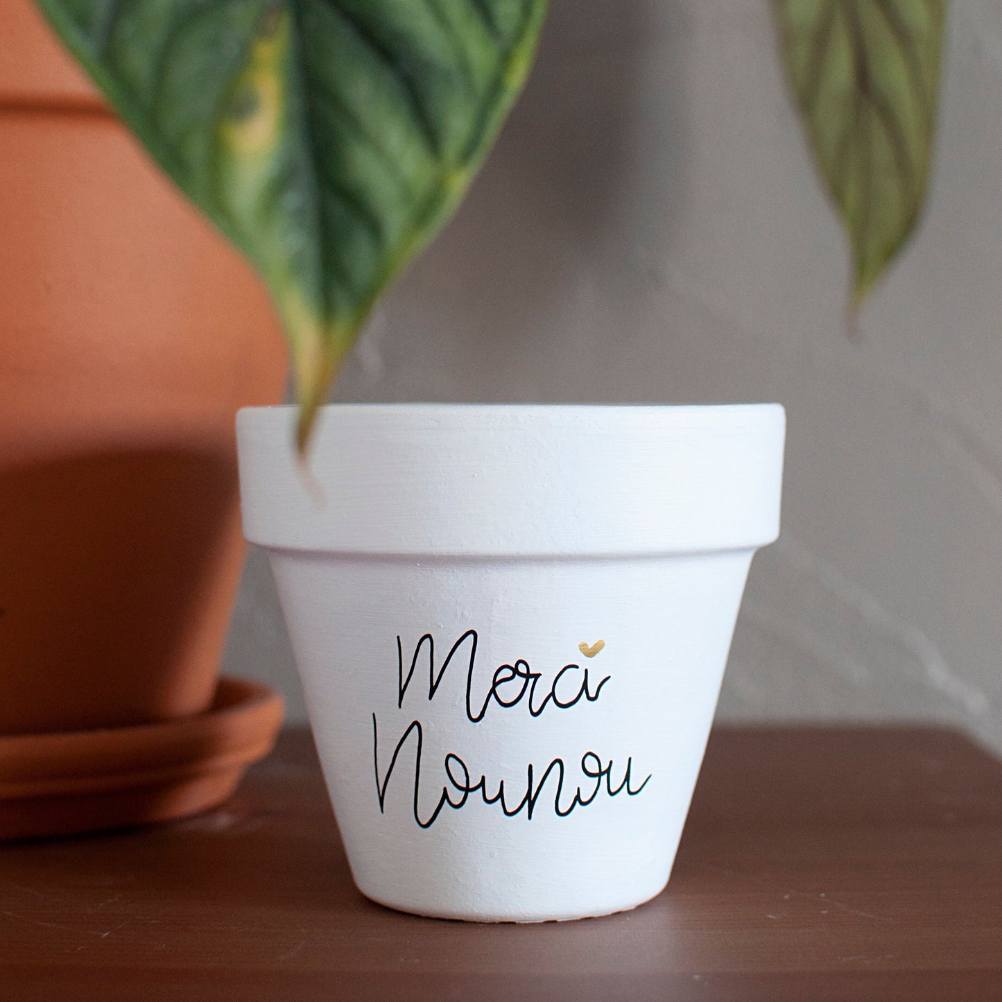 Cache pot / Pot en terre cuite personnalisé : Merci nounou / Super nounou / Nounou en or [cadeau nounou / cadeau nounou personnalisé]