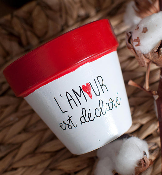 Cache pot / Pot en terre cuite : L'amour est déclaré