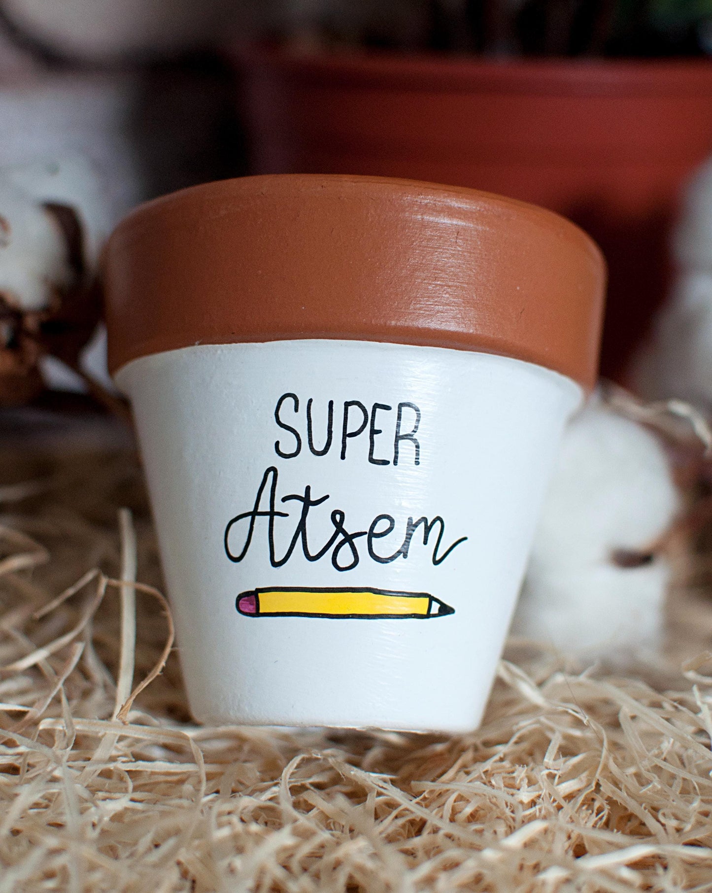 Cache pot / pot de fleurs en terre cuite personnalisé, cadeau de fin d’année scolaire : Merci Maitresse / Atsem / Cadeau