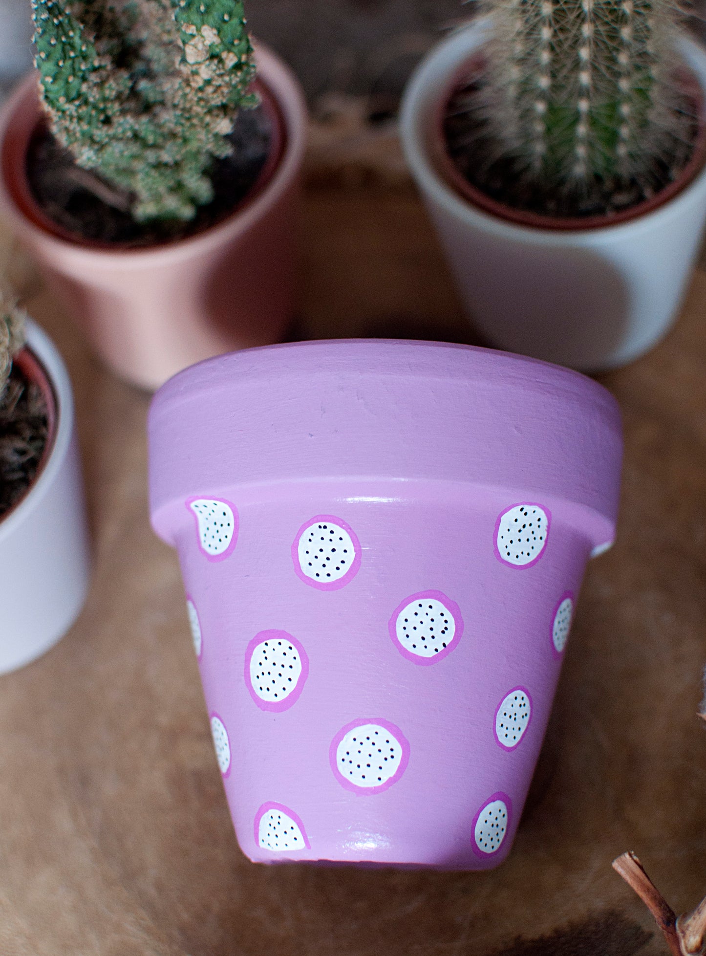 Cache pot / pot en terre cuite : Pitayou