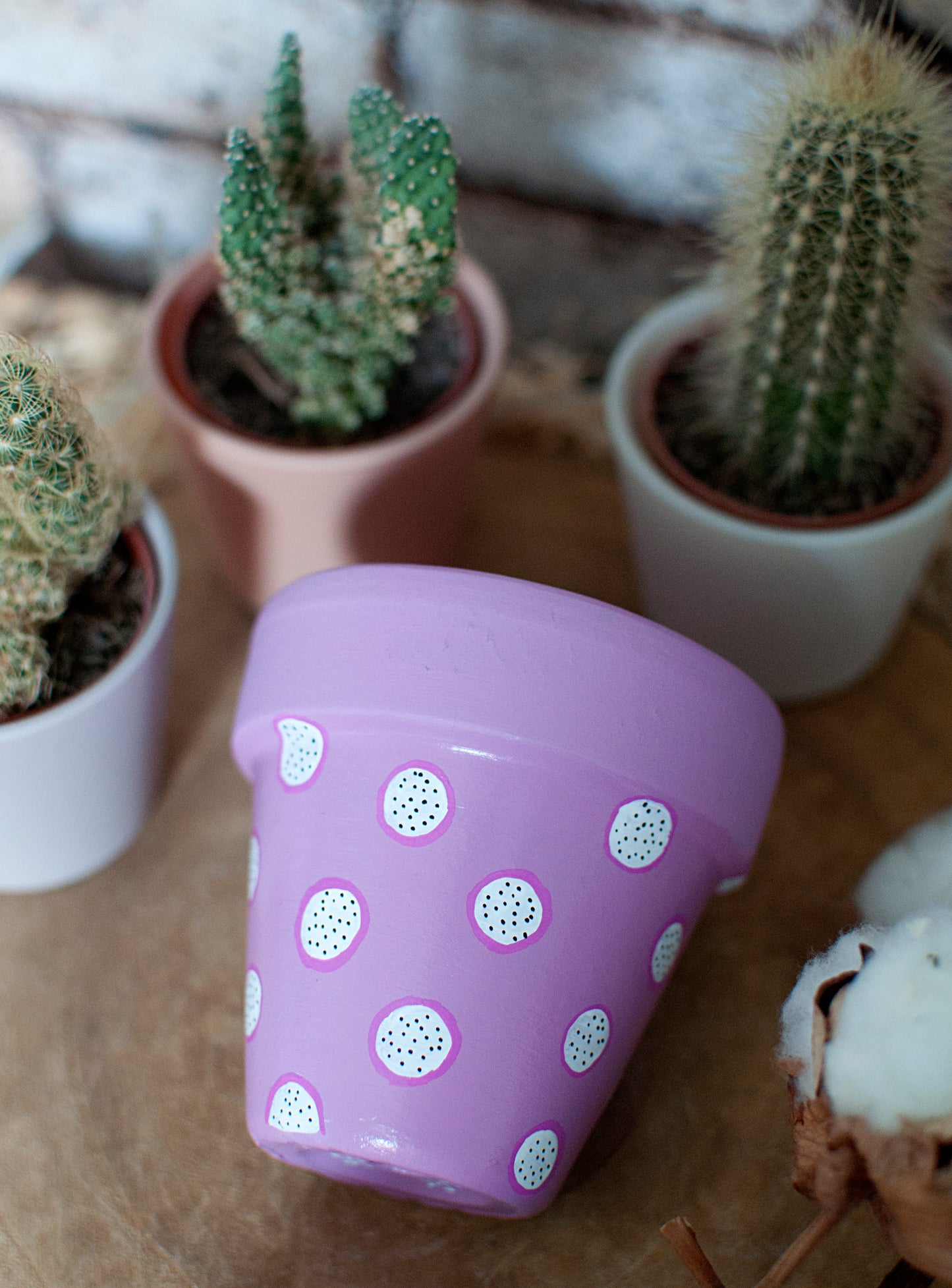 Cache pot / pot en terre cuite : Pitayou