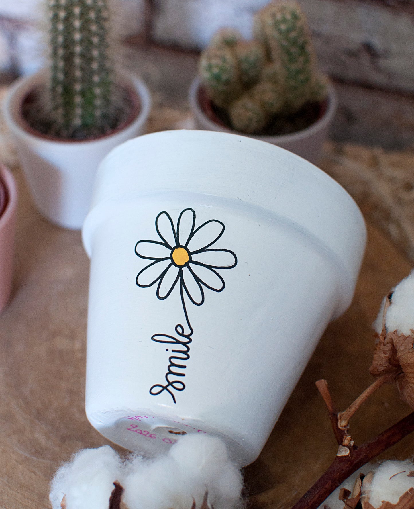 Cache pot / pot de fleur en terre cuite : Smile