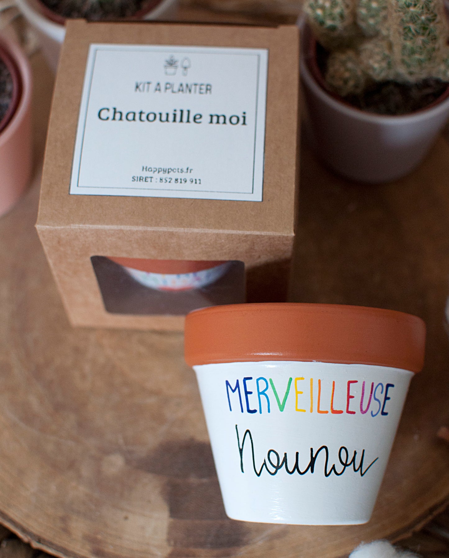 Kit à planter Chatouille moi : Merveilleuse Nounou + pot en terre cuite 8 cm de diamètre