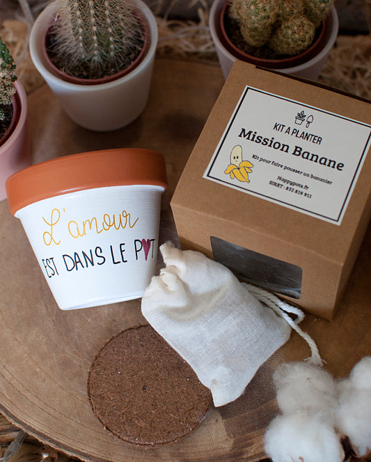 Kit à planter "L'amour est dans le pot" + pot en terre cuite 8 cm de diamètre