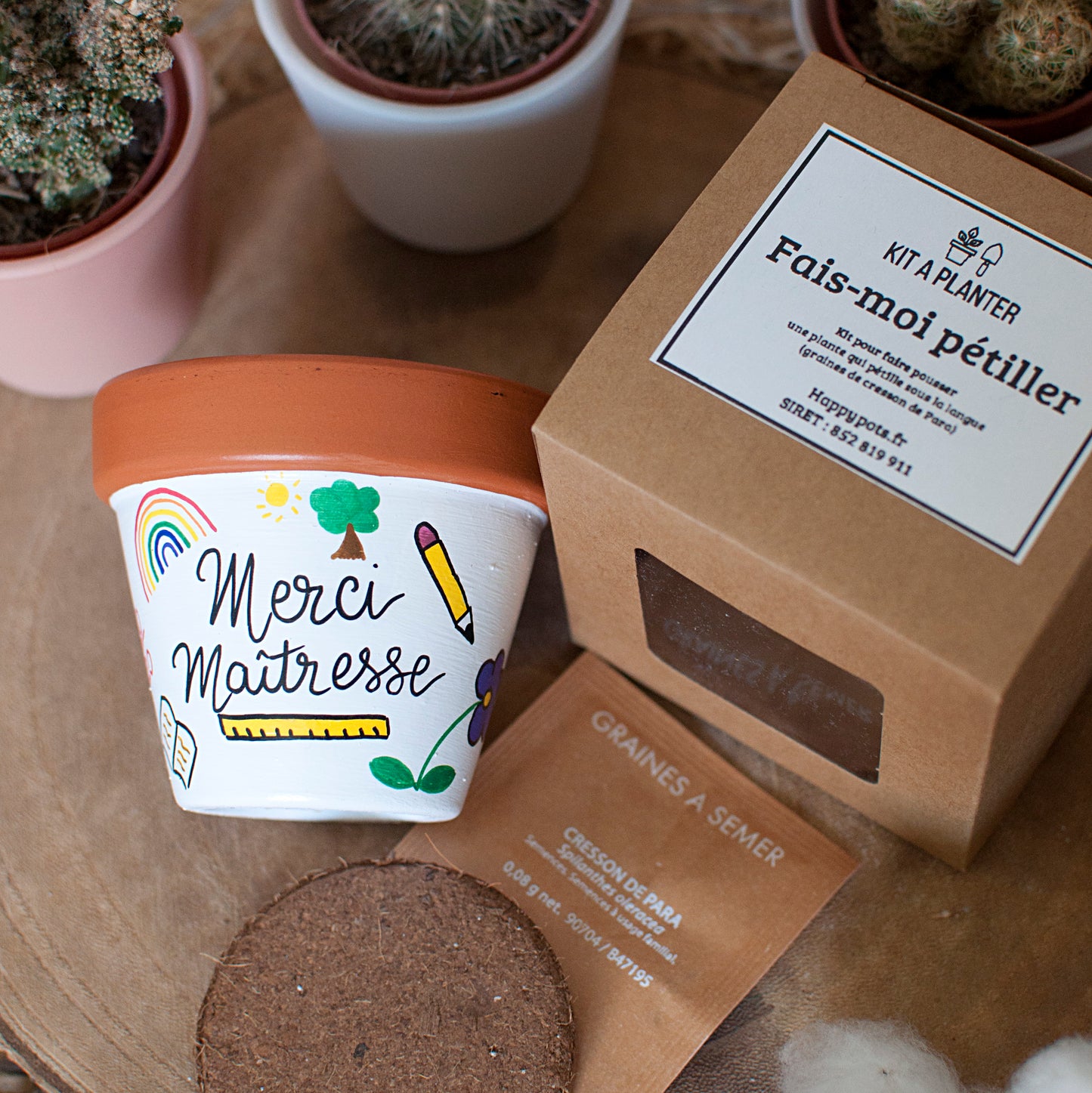 Kit à planter : Merci maîtresse + pot en terre cuite 8 cm de diamètre