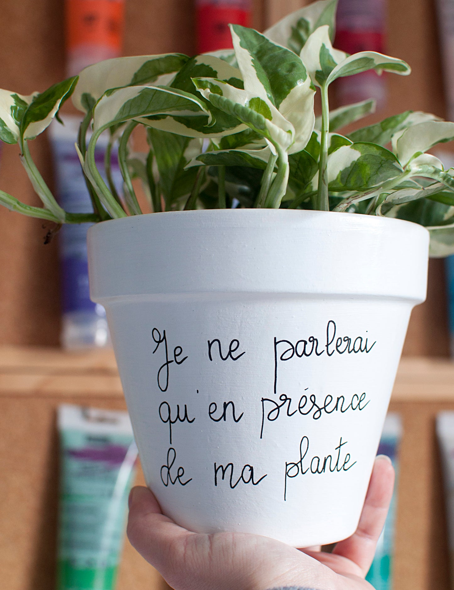 Cache pot / pot en terre cuite personnalisé : « Je ne parlerai qu’en présence de ma plante »