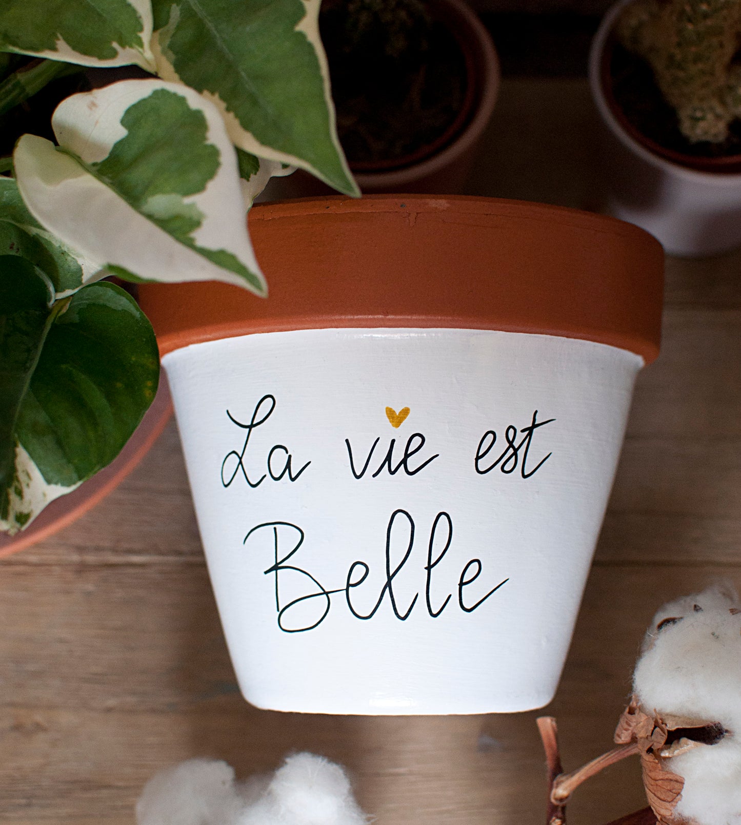 Pot de fleurs / cache pot en terre cuite : La vie est belle