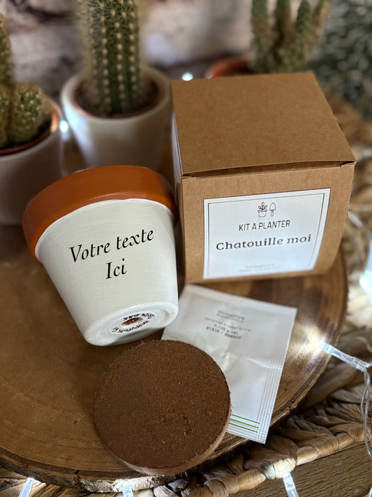 Kit à planter : Chatouille moi + pot en terre cuite 8 cm de diamètre