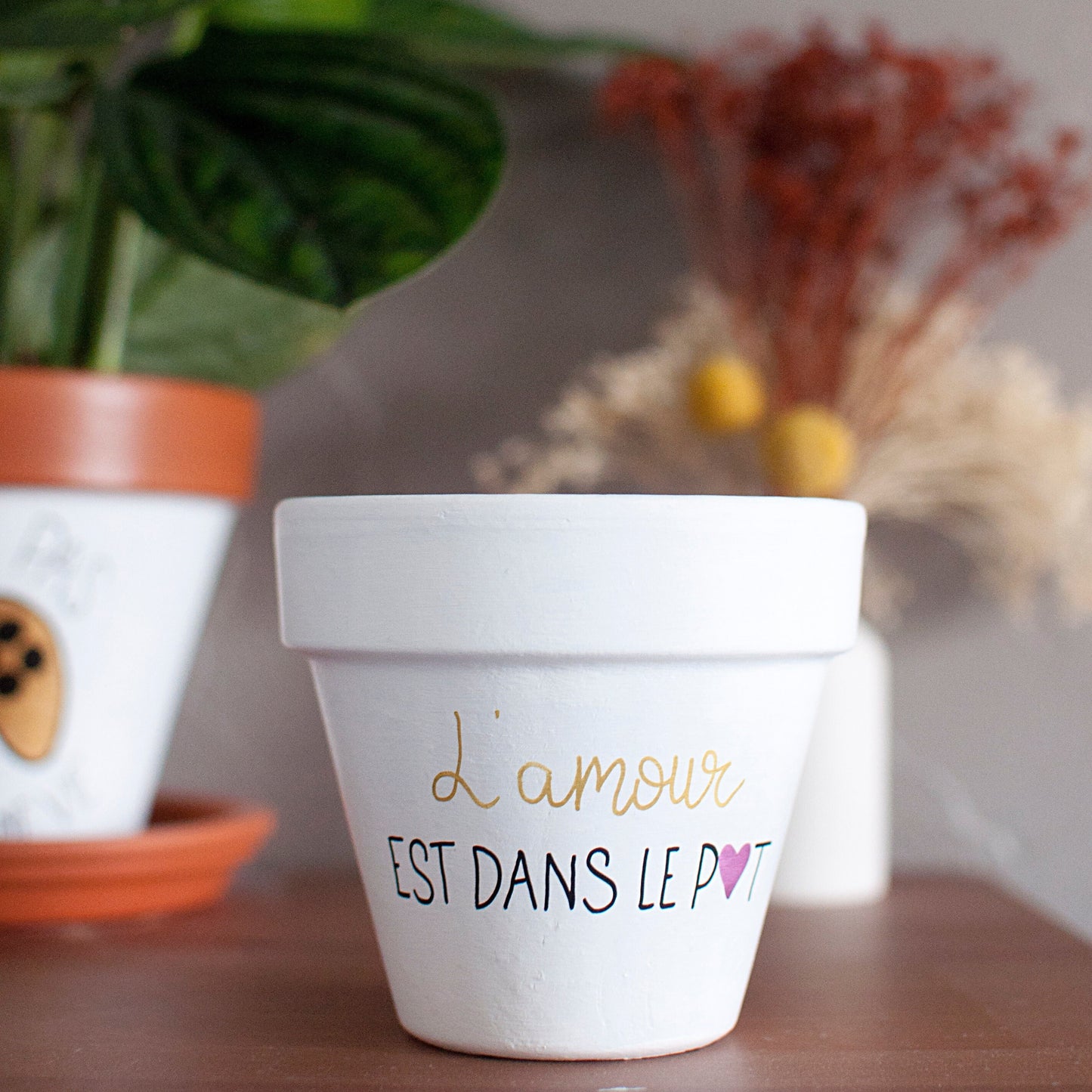 Cache pot / pot en terre cuite personnalisé : L'amour est dans le pot [BEST SELLER]