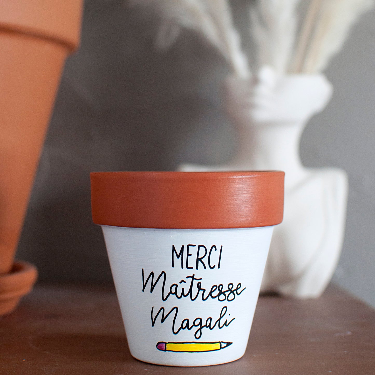 Cache pot / pot de fleurs en terre cuite personnalisé, cadeau de fin d’année scolaire : Merci Maitresse / Atsem / Cadeau