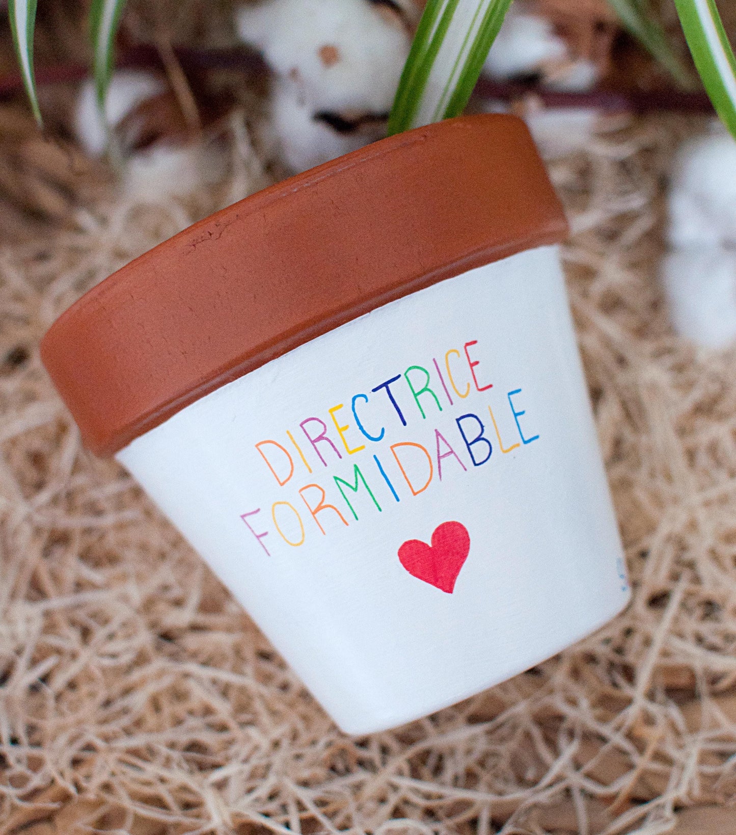 Cache pot / Pot en terre cuite personnalisé pour la  fin d’année scolaire : Maitresse Formidable - Version bicolore [ Cadeau Maitresse ]