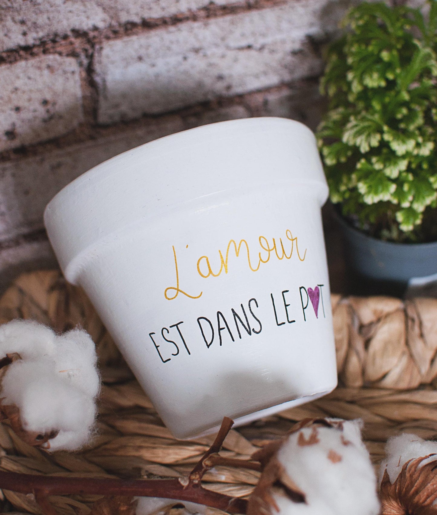 Cache pot / pot en terre cuite personnalisé : L'amour est dans le pot [BEST SELLER]