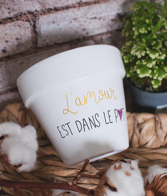 Cache pot / pot en terre cuite personnalisé : L'amour est dans le pot [BEST SELLER]
