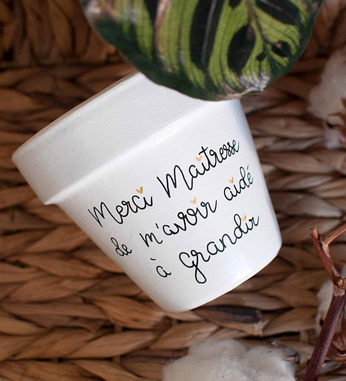 Cache pot / Pot en terre cuite personnalisé : Merci Maîtresse de m'avoir aidé(e) à grandir