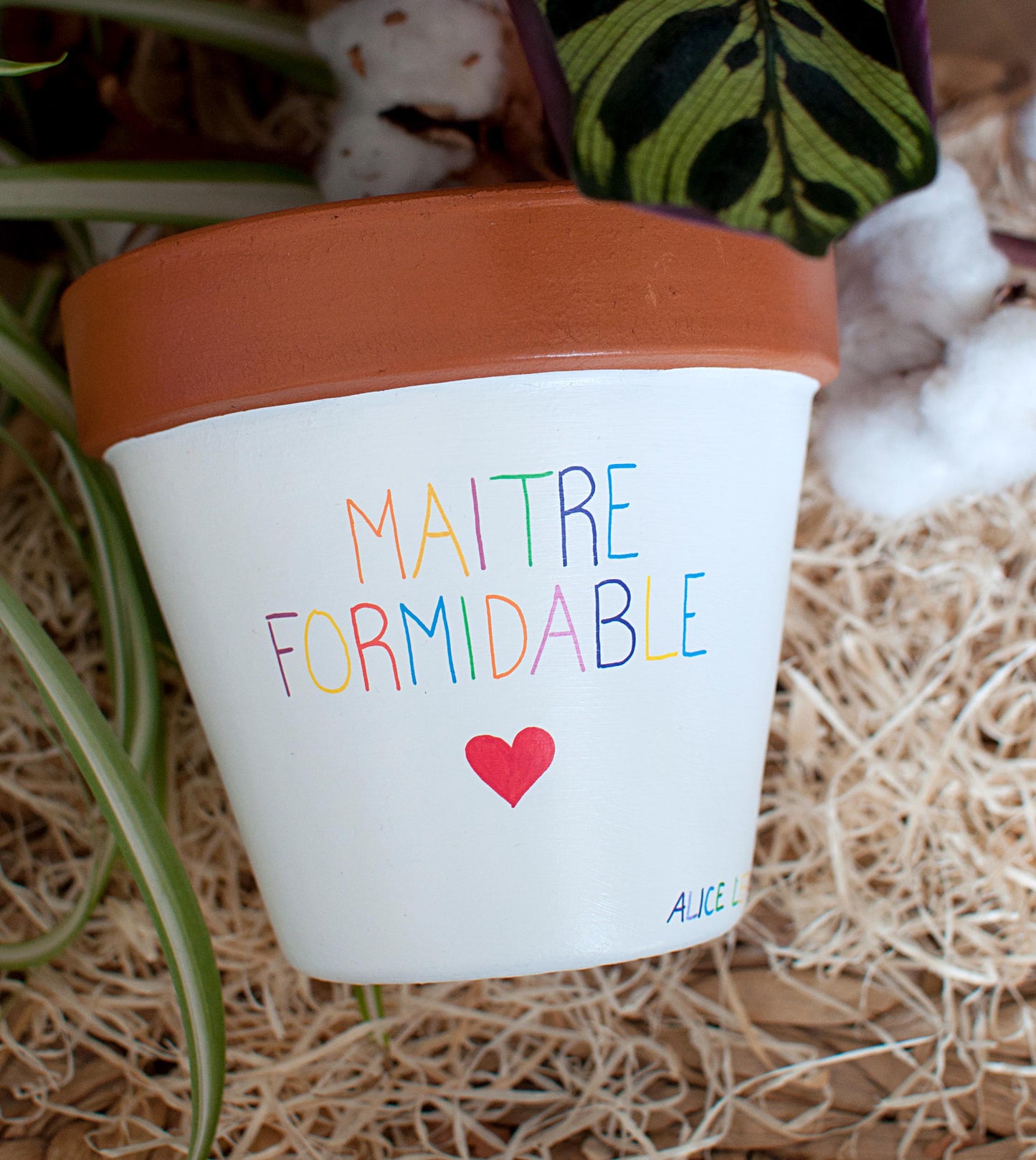Cache pot / Pot en terre cuite personnalisé pour la  fin d’année scolaire : Maitresse Formidable - Version bicolore [ Cadeau Maitresse ]