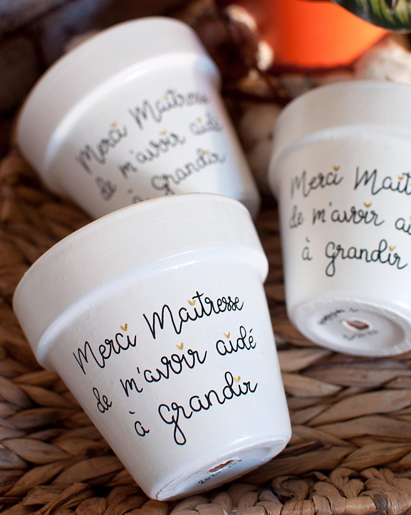 Cache pot / Pot en terre cuite personnalisé : Merci Maîtresse de m'avoir aidé(e) à grandir
