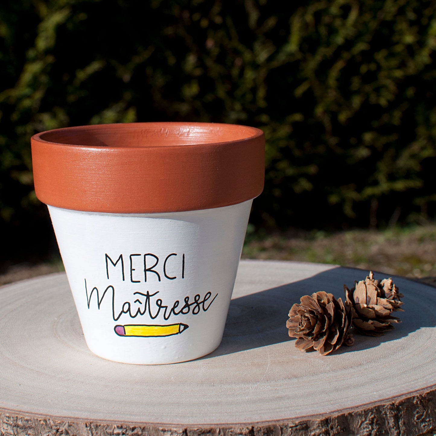 Cache pot / pot de fleurs en terre cuite personnalisé, cadeau de fin d’année scolaire : Merci Maitresse / Atsem / Cadeau