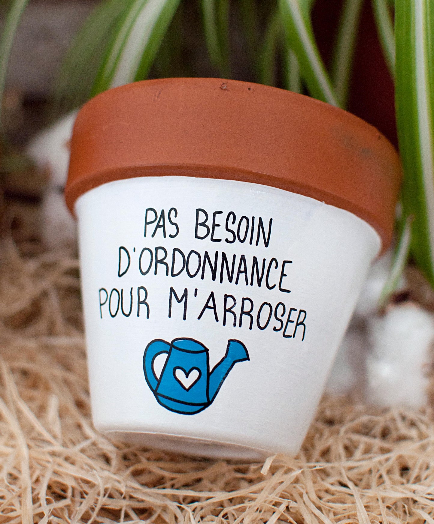 Cache pot / Pot de fleurs en terre cuite : Pas besoin d'ordonnance pour m'arroser  [Pot humour, cadeau infirmière, cadeau médical]