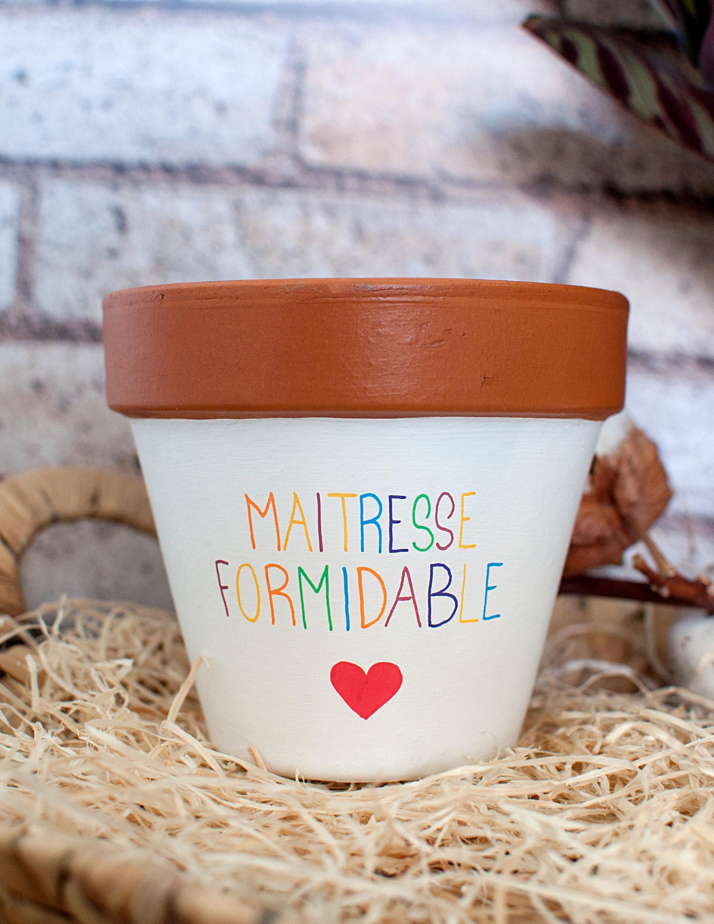 Cache pot / Pot en terre cuite personnalisé pour la  fin d’année scolaire : Maitresse Formidable - Version bicolore [ Cadeau Maitresse ]