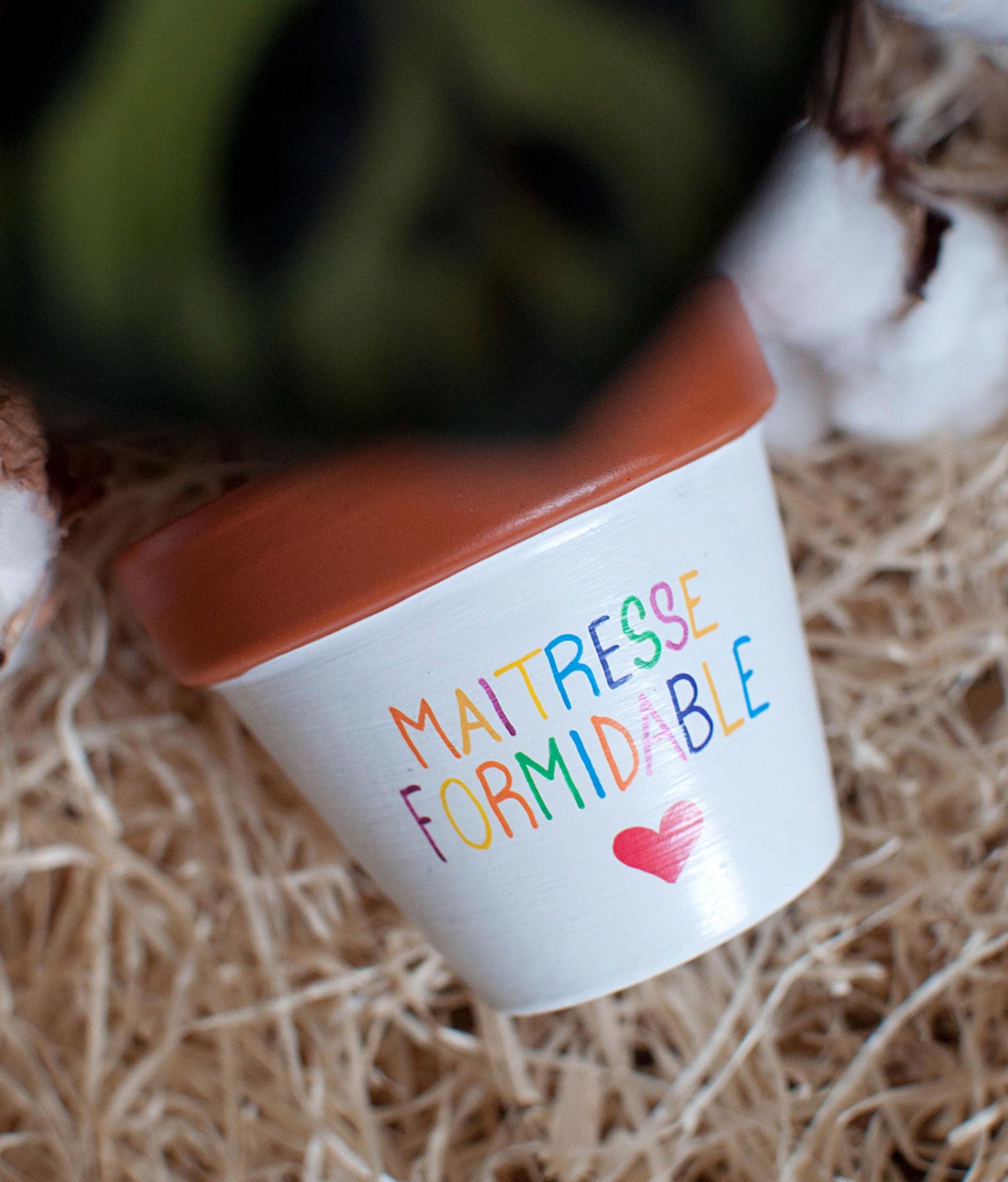 Cache pot / Pot en terre cuite personnalisé pour la  fin d’année scolaire : Maitresse Formidable - Version bicolore [ Cadeau Maitresse ]