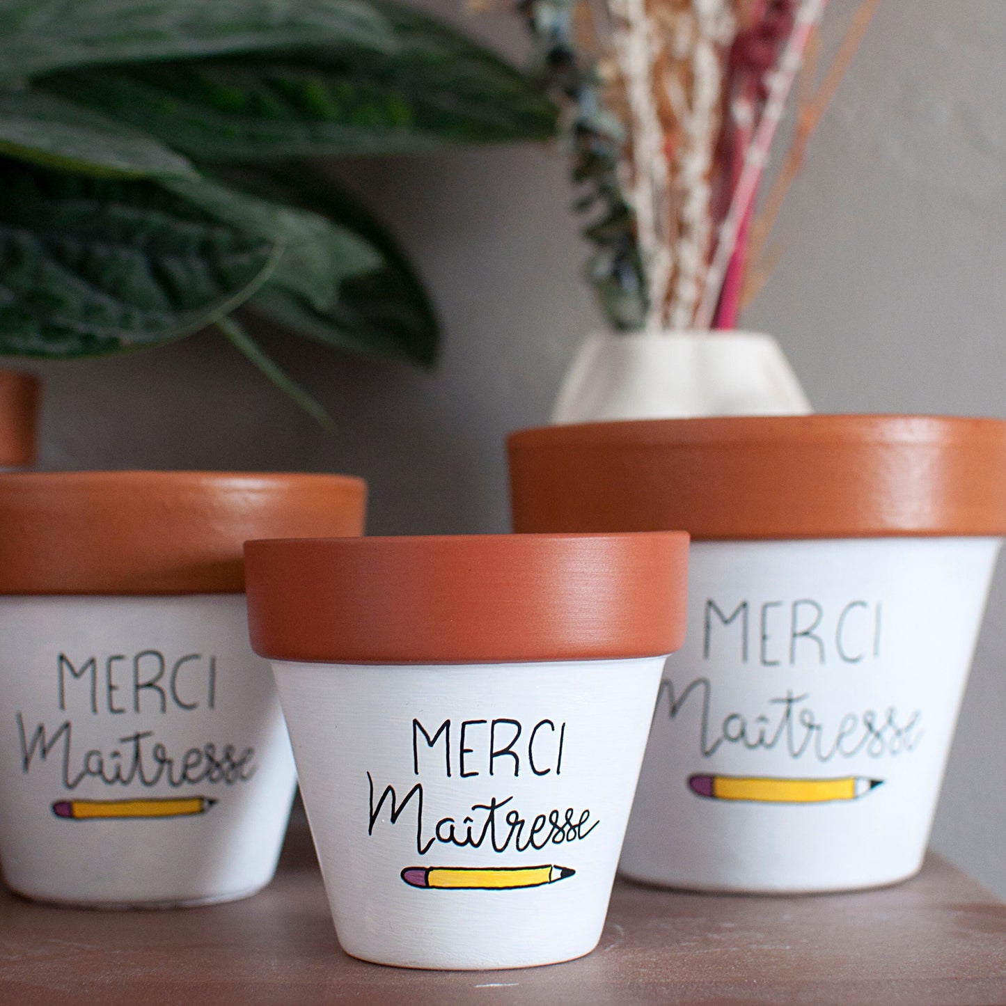 Cache pot / pot de fleurs en terre cuite personnalisé, cadeau de fin d’année scolaire : Merci Maitresse / Atsem / Cadeau